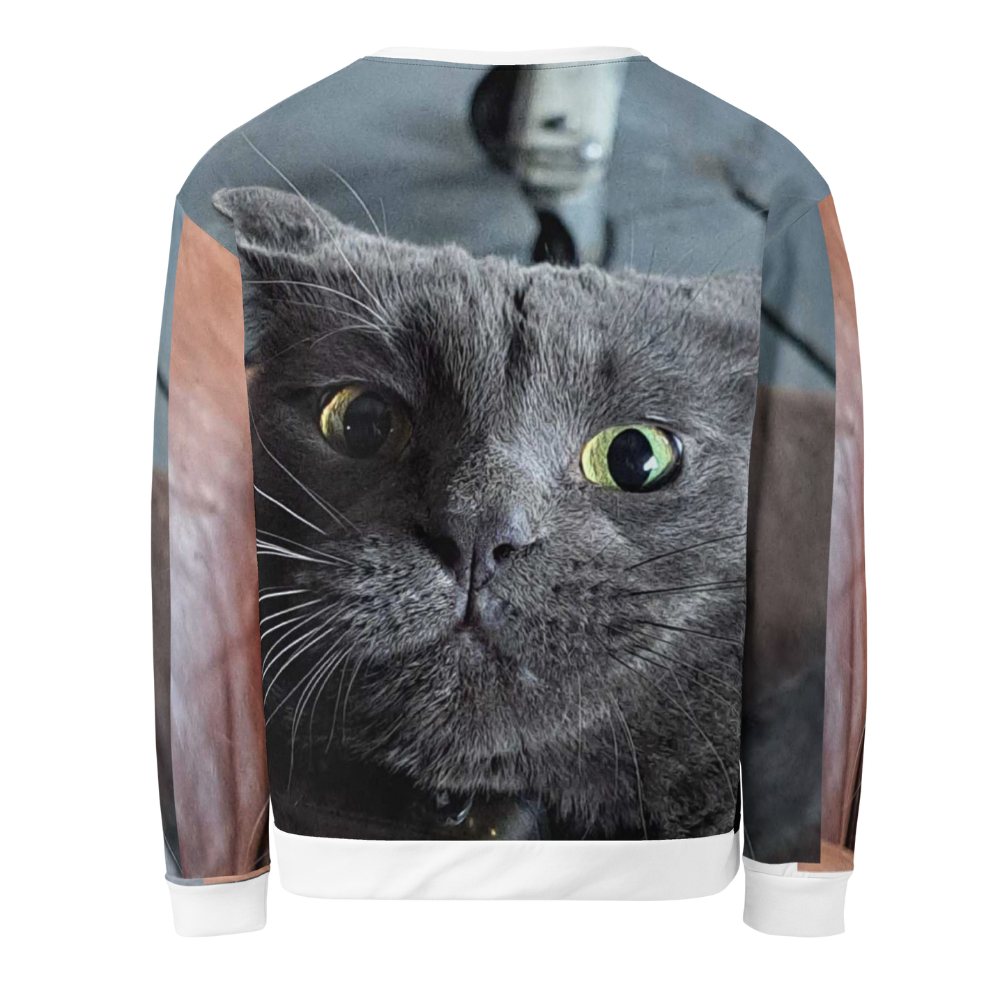 Brandon's Zoomies All-Over Sweatshirt