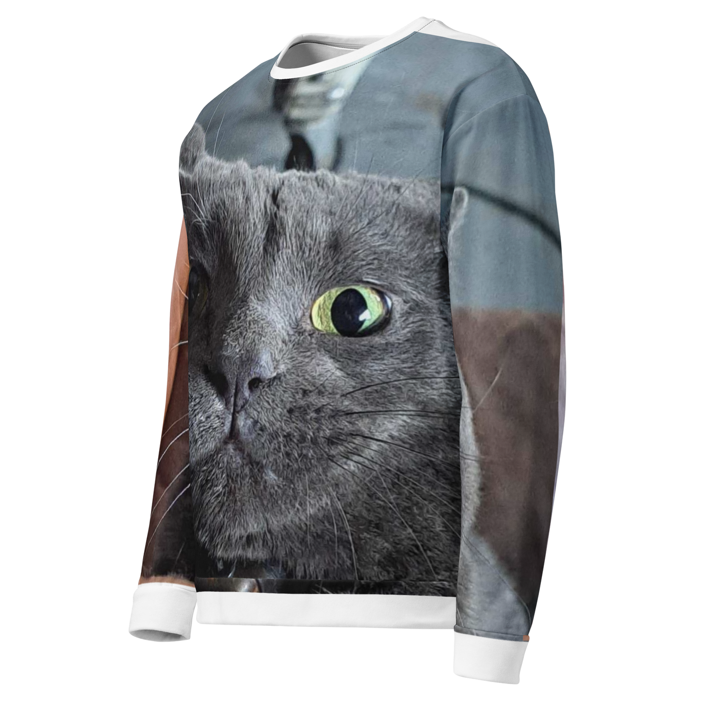 Brandon's Zoomies All-Over Sweatshirt