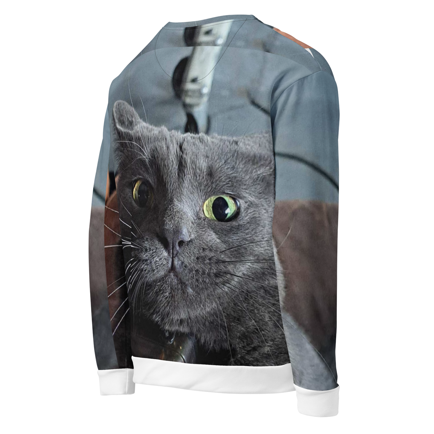 Brandon's Zoomies All-Over Sweatshirt